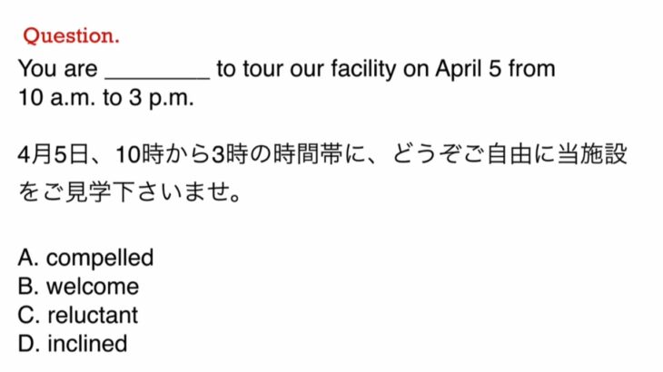 216. TOEIC、ビジネス、日常英語、和訳、日本語　文法問題　TOEIC Part 5