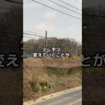 【旅報告】40代サラリーマン起業　韓国の鉄道はどっち側通行！？