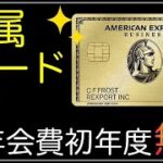 【AMEXビジネスゴールド】年会費無料で持てる唯一のメタルカード