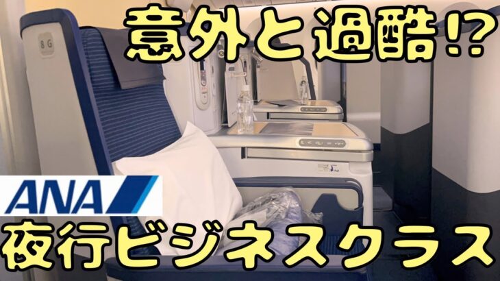 需要やば⁉︎ ANAのビジネスクラスでインド🇮🇳→東京🇯🇵へ‼︎