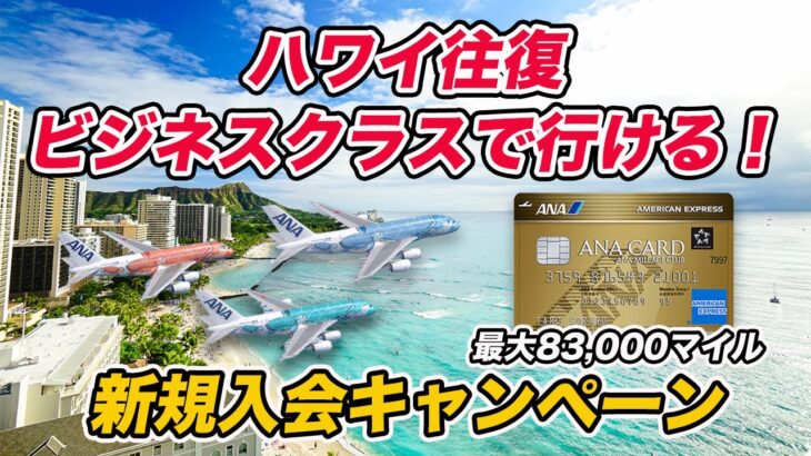 【ハワイ・ビジネスクラス可】ANAアメックスゴールド 最大83,000マイル獲得可能なキャンペーン！