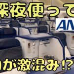 過酷⁉︎ ANAの超深夜便のビジネスクラスに乗ってシンガポールを目指したら…