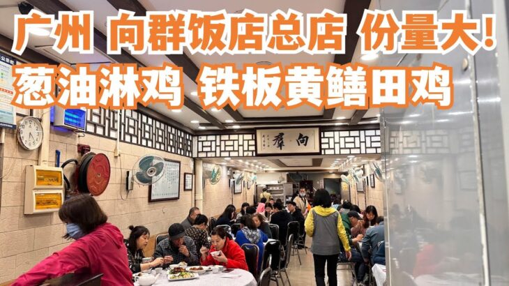 【广州漫步粤菜美食探店】】一定要食！向群饭店总店！份量超大！葱油淋鸡！必比登必食榜！米芝莲推荐！市场买菜！隐藏在老城区！深受本地人喜爱！最贴地美食！Canton Food Tour｜GuangZhou