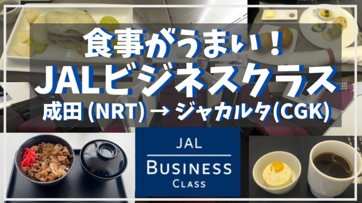 JALビジネスクラス（成田→ジャカルタ）/ JAL Business Class (Narita → Jakarta)  JAL 725