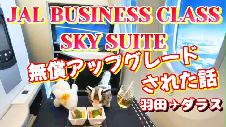 ✈【JAL】ビジネスクラスに無償アップグレードされた話❤ #JAL #ビジネスクラス #JALSKYSUITE #飛行機 #海外旅行 #国際線 #出張 #ビジネス #しゃろう