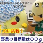 相模原市とSC相模原が食育コラボ！～野菜350g編～