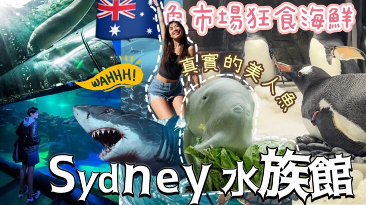 🇦🇺澳洲旅遊｜悉尼魚市場食海鮮🦞🦪勁多新鮮好味刺身😍多款😝+澳洲一日四季🥶🥵？+SEA LIFE澳洲水族館有什麼看？！值得去嗎？第一次看到海牛😳係真實的美人魚🧜‍♀️美人魚真存在？