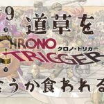 【レトロゲーム】SFC版名作　クロノトリガー　⑨　道草といえど、食うか食われるかわからんのだ。