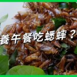 「昆蟲食代」即將來臨？日本營養午餐蟋蟀粉入菜，為何引爆網路反彈聲浪？【TODAY 看世界】