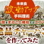 【未来食波動アップ手料理術】免疫力UP!するαリノレン酸をまるごと補給するエゴマを使って絶品チャーハンを作ってみた。　＃手料理　#砂糖ゼロ #未来食