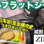 【ZIPAIR】日本初の昆虫機内食に挑戦❗️片道11万円〜フルフラットシートで日本→ハワイへレッツゴー！！✈️