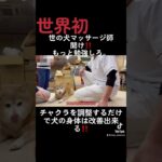 #dog #dogtherapy #dogs #いぬ #犬ビジネスの闇