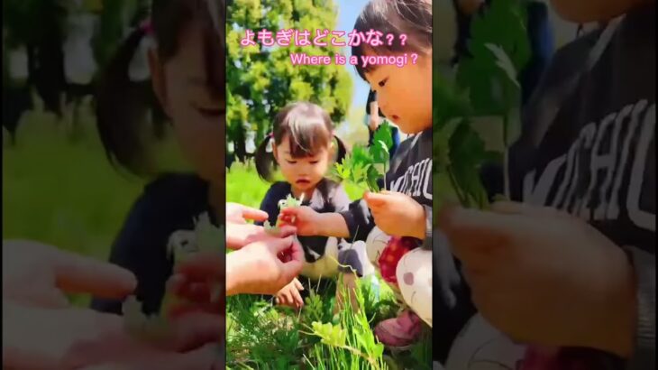 【食育】よもぎ団子作りmade the Yomogi Dango ⑤ #shorts #保育園 #dietaryeducation #おやつ