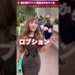 【暴言注意】起業失敗!!女社長の愛のムチとは⁉ #shorts