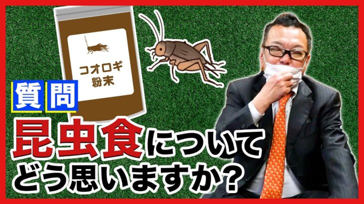 【質問】昆虫食についてどう思う？