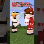 【マイクラアニメ茶番】霊夢と魔理沙の関係【ビジネスパートナー】