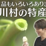 【食感最高】深爪の澤夏が空芯菜を収穫！