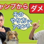 【元チャンプ芹江】人生は一度きり【ビジネス論】