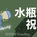 水瓶座🥂【結婚、契約、ビジネス成功などの祝福🎉✨】💐もうすぐ訪れる祝福💐どんな祝福が💐どんな風に💐いつ頃🌝月星座水瓶座🥂さんも🌟タロットルノルマンオラクルカード