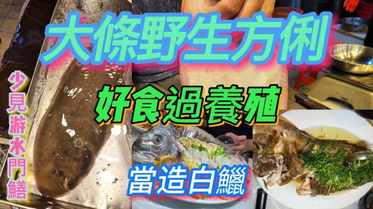 原來大條海方俐真係好食好多..下次見到必買..養殖根本無得比..當季白鱲真係好肥不時不食..香港海鮮/海鮮俠  #方俐魚 #白鱲 #楊屋道街市