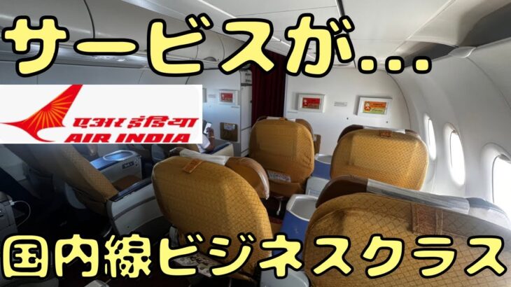 カオスな国、インドでビジネスクラスを利用してみたら乗客含めて色々凄すぎた…