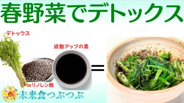 【未来食波動アップ手料理術】美味しさと健康を両立！春野菜のデトックス和え物に注目！エゴマでアルファリノレン酸補給、醤油で波動アップ効果も！　＃手料理　#砂糖ゼロ #未来食 #国際雑穀年