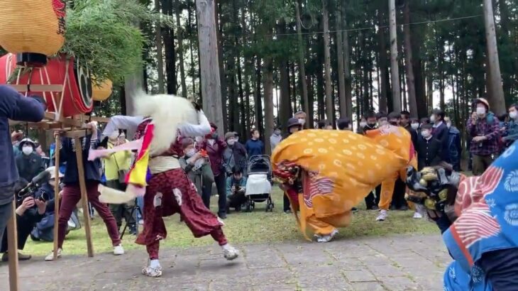 【まちづくり・観光ビジネス学科】佐渡新穂の山王祭　伝統文化と環境福祉の専門学校　佐渡