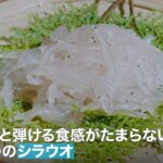 ぷりぷりと弾ける食感がたまらない 常磐もののシラウオ