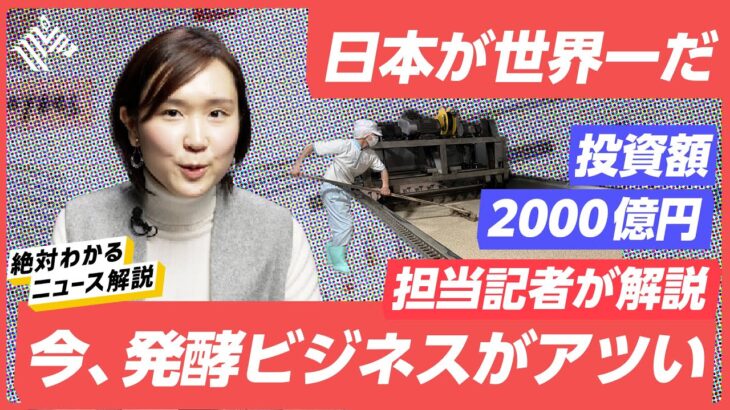 【記者解説】実は日本が世界一。いま「投資が殺到」している熱いビジネスを解説します。（バイオテック/代替肉/日本食/スタートアップ）