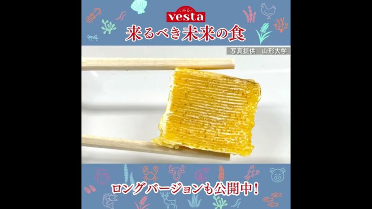 【みるvesta～食文化の世界～】『vesta』特集「来(きた)るべき未来の食」ショートバージョン #Shorts