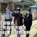 五旬婦認劏貓食　以為檢已死貓便不違法　官斥文明社會不容判緩刑｜01新聞｜貓肉｜老婦｜動物｜白田邨｜法庭