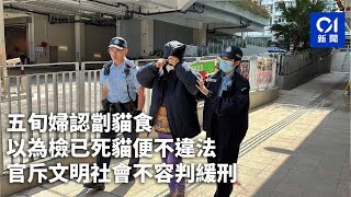 五旬婦認劏貓食　以為檢已死貓便不違法　官斥文明社會不容判緩刑｜01新聞｜貓肉｜老婦｜動物｜白田邨｜法庭