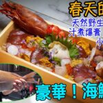 【春天的味道】豪華！海鮮丼！天然野生真鯛 2食！ 汁煮爆膏 子持烏賊！ 小長井華漣生蠔！西班牙XL 紅蝦！