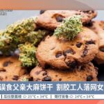 女童误食父亲大麻饼干  割胶工人落网女童无碍【2023.05.30 八度空间华语新闻】