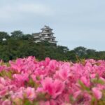 2023/05/27 　蚕起食桑・紅花栄　癒しのひじかわじかん　〜愛媛県大洲市〜