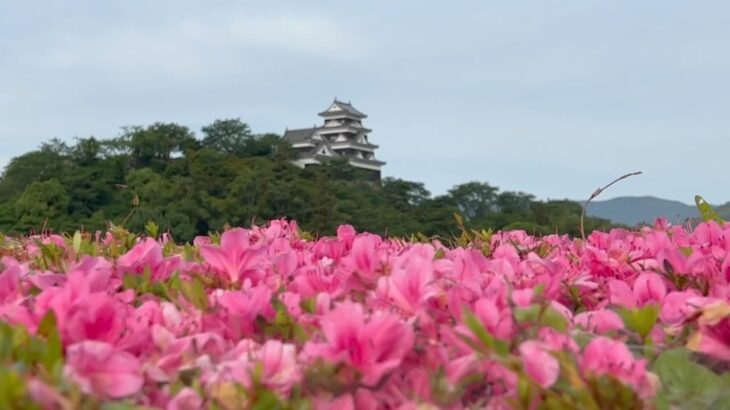 2023/05/27 　蚕起食桑・紅花栄　癒しのひじかわじかん　〜愛媛県大洲市〜