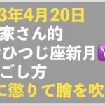 【2023年4月20日】起業家さん的、おひつじ座（おうし座）新月の過ごし方トークライブ｜今回のキーワード「アツモノに懲りてなますを吹く」