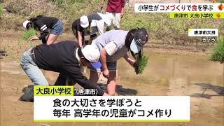 「コメ作りを通して食の大切さを学ぼう」大良小学校の児童が自分たちが育てた苗で田植え体験【佐賀県】 (23/05/09 17:30)