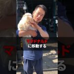 【金欠】27歳に不動産屋の完全歩合ビジネスで上手くいかず、ホームレスになった話#shorts 【便利屋 買取 社長】