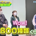 ビジネスバラエティ「御社でインターンよろしいでしょうか？」4/29(土)放送回の一部公開！コンタクトレンズの「シード」で木下彩音がインターン！