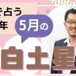 八白土星5月の運勢【九星気学】【ビジネス気学】