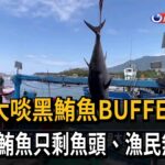 黑鮪魚被海豚分食! 只剩魚頭無法賣損失近50萬－民視台語新聞