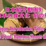 日本紹介動画9 日本の食文化 旬の筍｜Japan Introduction Video 9 Japanese Food  Bamboo Shoots in Season.