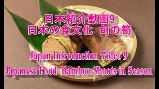 日本紹介動画9 日本の食文化 旬の筍｜Japan Introduction Video 9 Japanese Food  Bamboo Shoots in Season.