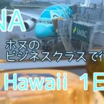 ANA ホヌのビジネスクラスで行くHawaii  1日目シェラトンワイキキ/デラックスオーシャンフロント/アップグレード/アランチーノ/高橋果実店