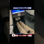 ANAビジネスクラス｜日本成田→シンガポール｜All Nippon Airways Business Class from Tokyo Narita to Singapore Changi