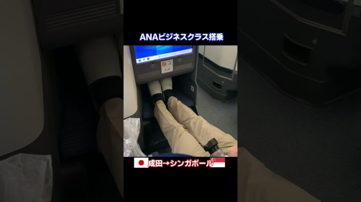 ANAビジネスクラス｜日本成田→シンガポール｜All Nippon Airways Business Class from Tokyo Narita to Singapore Changi