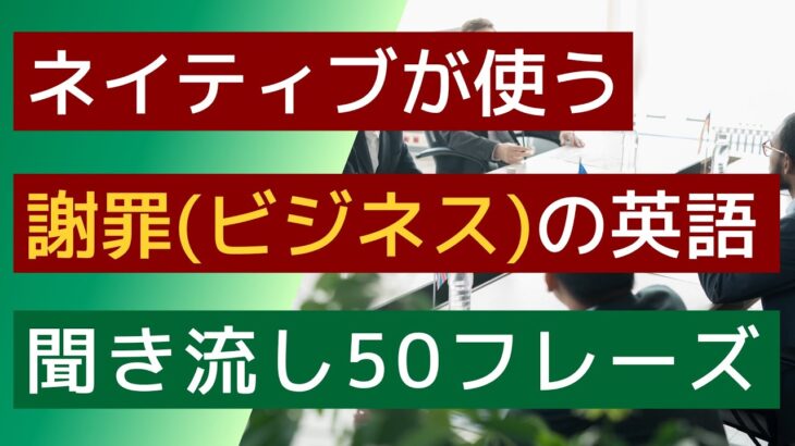 【聞き流し】【ネイティブが使う謝罪(ビジネス)英語】CHAT GPTが選んだ50フレーズ。電車の中や寝る前などの聞き流し学習に使うことができます。英会話の勉強のためのリスニングなど素材としてください。