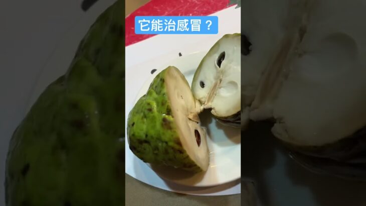 話你知一個秘密：Custard Apple 蕃荔枝不但好食而且還能治療喉痛聲音啞，吃它不要吃藥就能好！#shorts #fruit