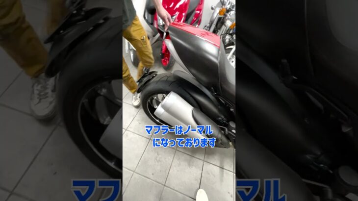 マニア必見。Ducatiの高額カスタムパーツ #shorts #バイク #起業 #整備士 #ヘルメット #howto #セブンスターモーターサイクル #社長 #モトブログ #ドッキリ